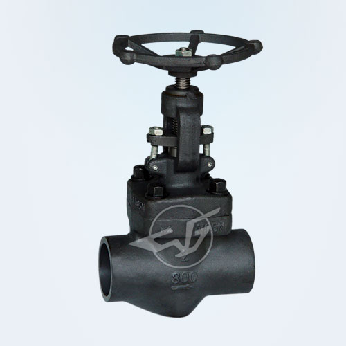 Forged steel thread, socket welding globe valve 